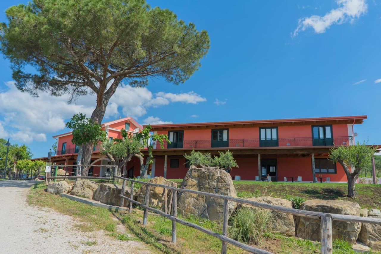 Terra Di Vento Bed & Breakfast Montecorvino Pugliano Luaran gambar