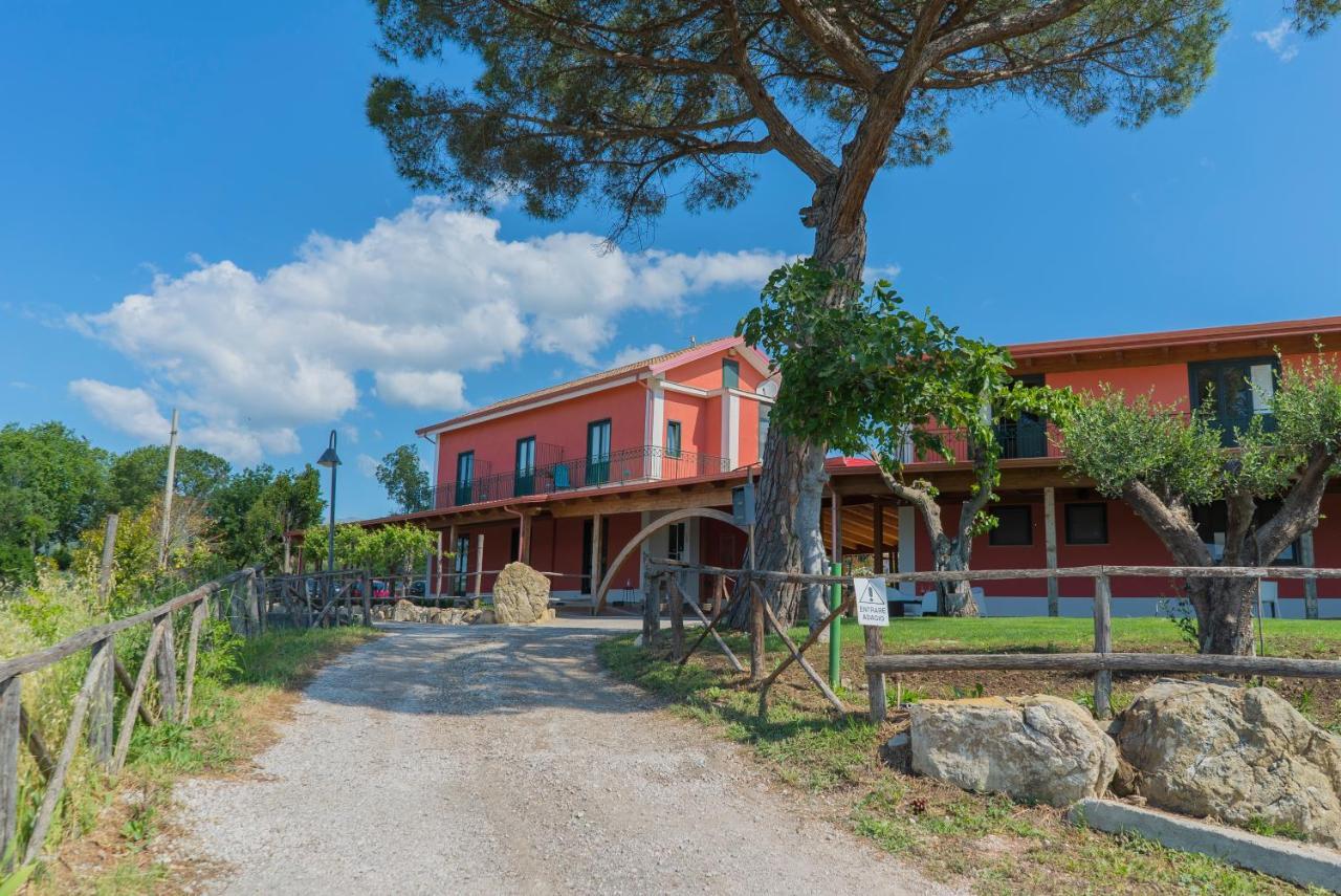 Terra Di Vento Bed & Breakfast Montecorvino Pugliano Luaran gambar